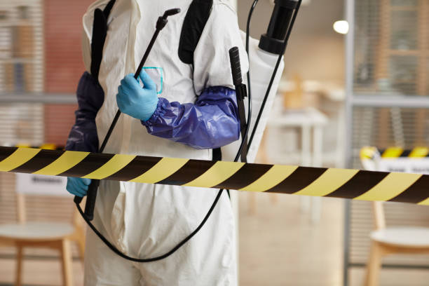Professional Sewage Cleanup technician working in Greenfield, MN